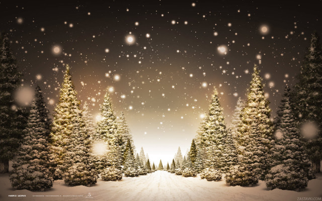 Snowy scene trees snow falling #5 free wallpaper for desktop - medium preview image