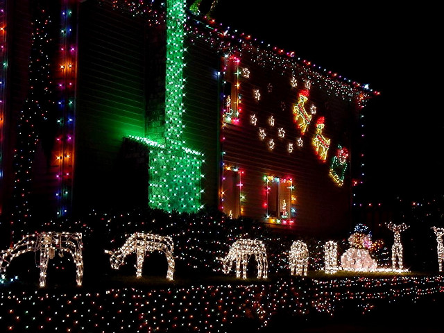 Christmas lights elephants house night free wallpaper for desktop - medium preview image
