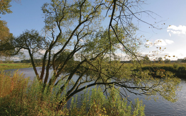 River trees grassy clouds ecological #2 free wallpaper for desktop - medium preview image