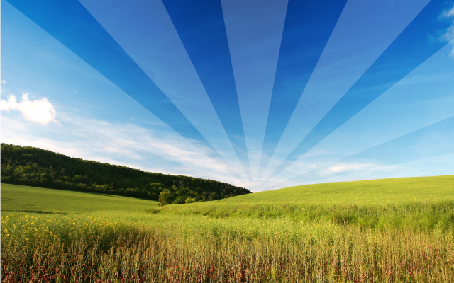 Field sunset blue sky grass free wallpaper for desktop - medium preview image