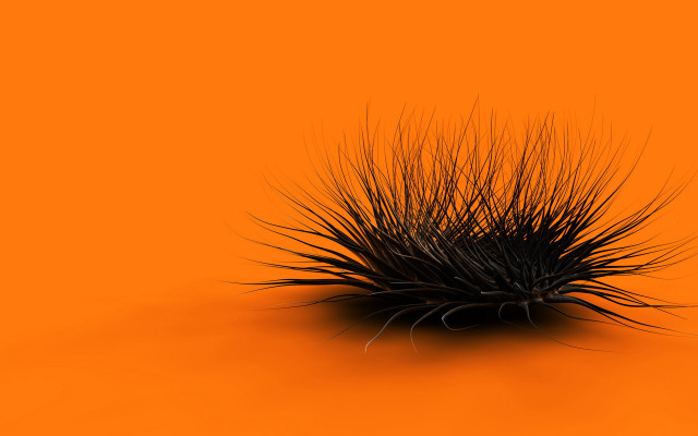 Black object long hair orange #5 free wallpaper for desktop - medium preview image
