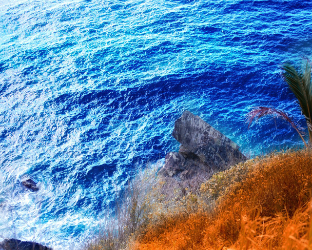 Ocean cliff palm tree blue free wallpaper for desktop - medium preview image