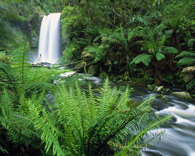 Waterfall lush green jungle tropical free wallpaper for desktop - medium preview image