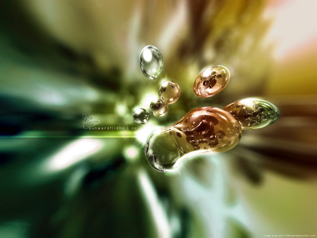 Flower water droplets green background #7 free wallpaper for desktop - medium preview image
