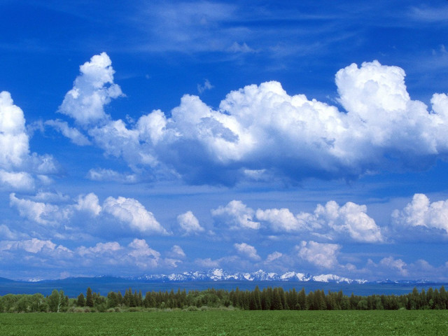 Cows grazing field mountain clouds free wallpaper for desktop - medium preview image