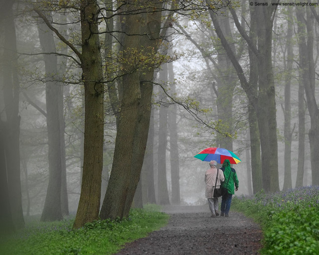 Two people walking path umbrellas #3 free wallpaper for desktop - medium preview image
