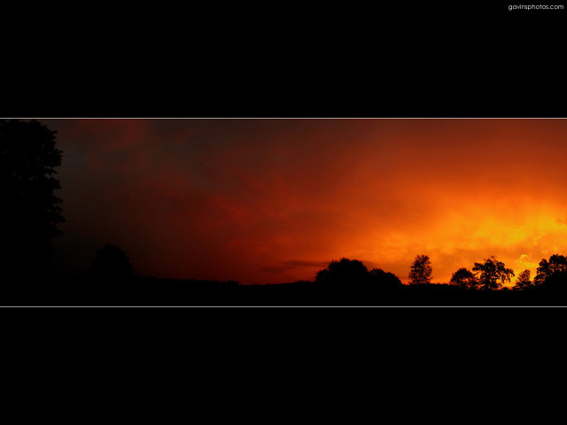 Sunset red sky trees black free wallpaper for desktop - medium preview image