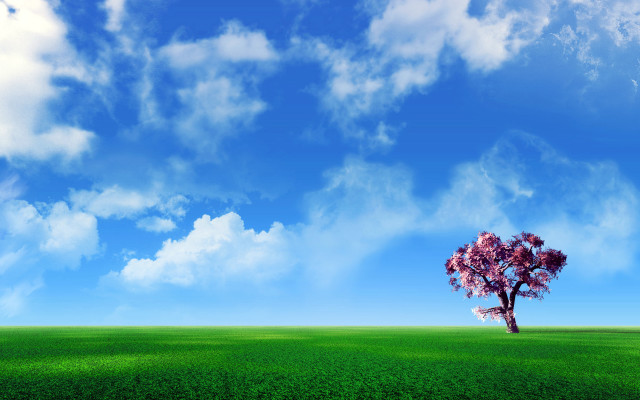 Tree field blue sky clouds #6 free wallpaper for desktop - medium preview image