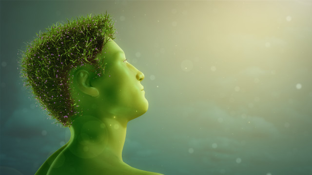 Green man spiky haircut green free wallpaper for desktop - medium preview image