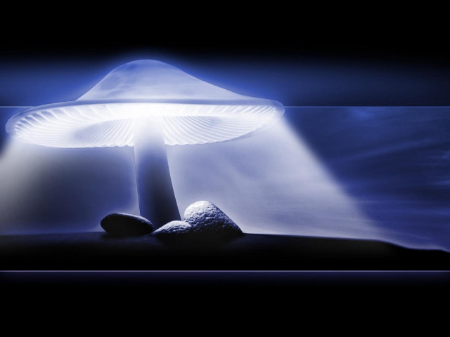 Mushroom lamp rock night sky free wallpaper for desktop - medium preview image