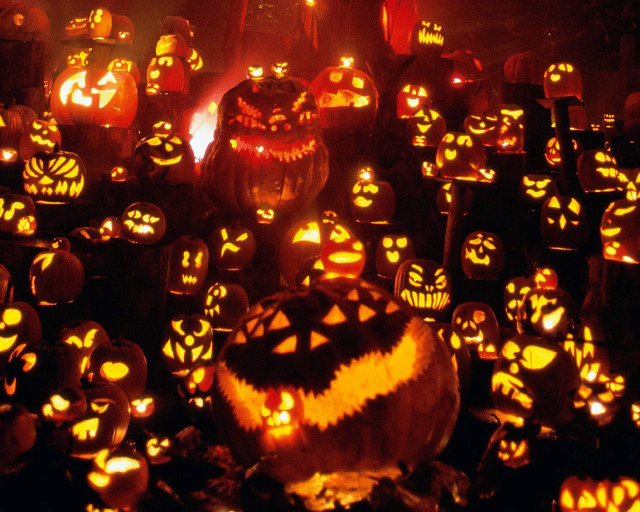 Glowing pumpkins carved faces night free wallpaper for desktop - medium preview image