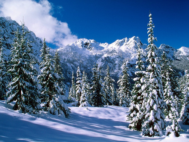 Snowy mountain trees covered clouds #2 free wallpaper for desktop - medium preview image