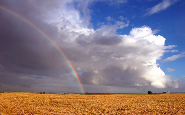 Rainbow wheat field barn blue free wallpaper for desktop - medium preview image