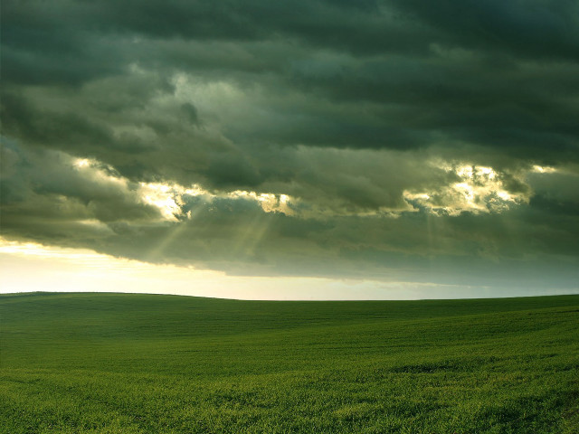 Field lone horse cloudy sky #3 free wallpaper for desktop - medium preview image