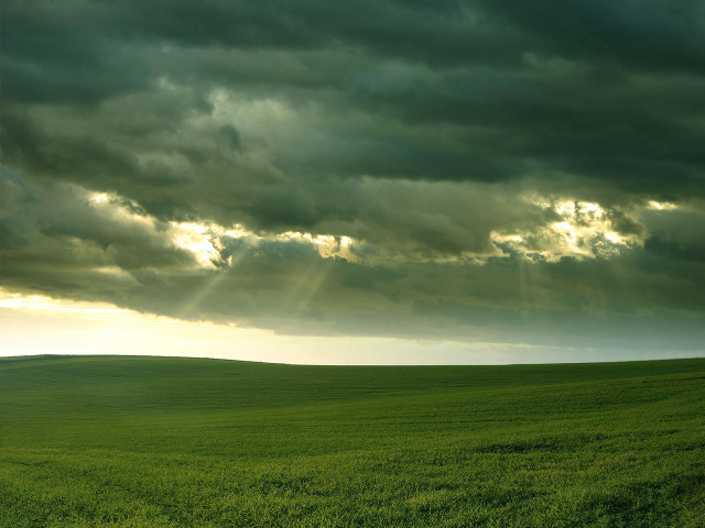Green grass field godrays cloudy free wallpaper for desktop - medium preview image