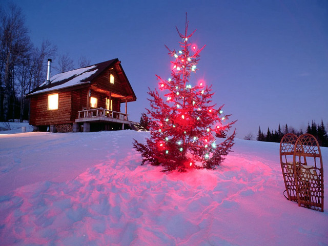 Small christmas tree snow house free wallpaper for desktop - medium preview image