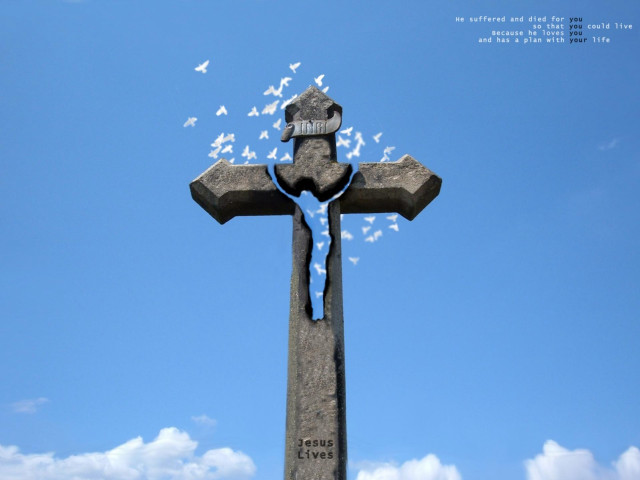 Cross birds flying sunny day #2 free wallpaper for desktop - medium preview image