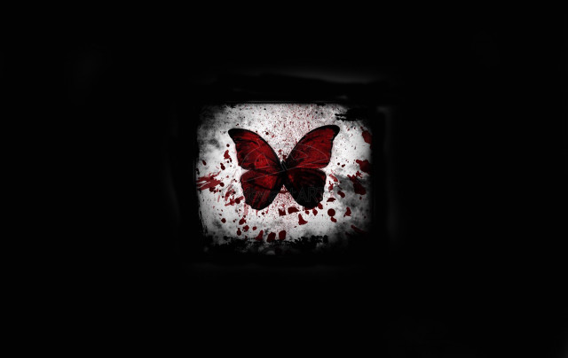Butterfly blood wings square frame free wallpaper for desktop - medium preview image