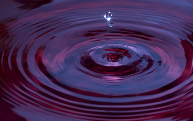 Red purple water droplet surface free wallpaper for desktop - medium preview image