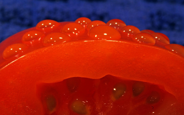 Red object water droplets blue #4 free wallpaper for desktop - medium preview image