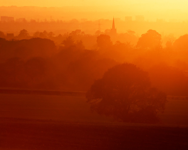 City sunset horse grazing foreground #2 free wallpaper for desktop - medium preview image