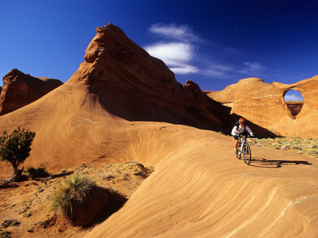 Man bike dirt road desert free wallpaper for desktop - medium preview image