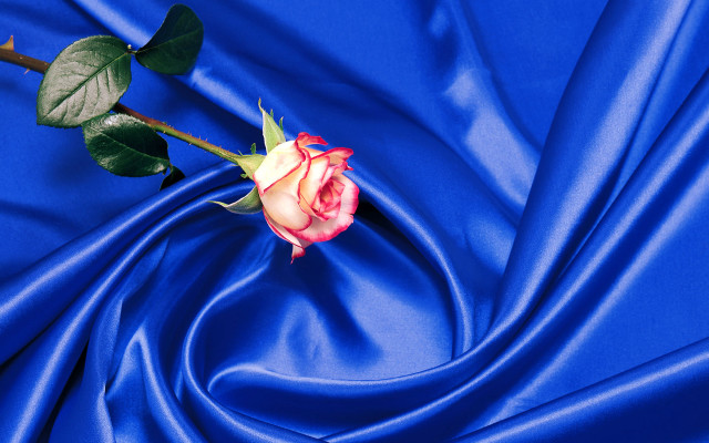 Blue rose vaporwave satin sky free wallpaper for desktop - medium preview image