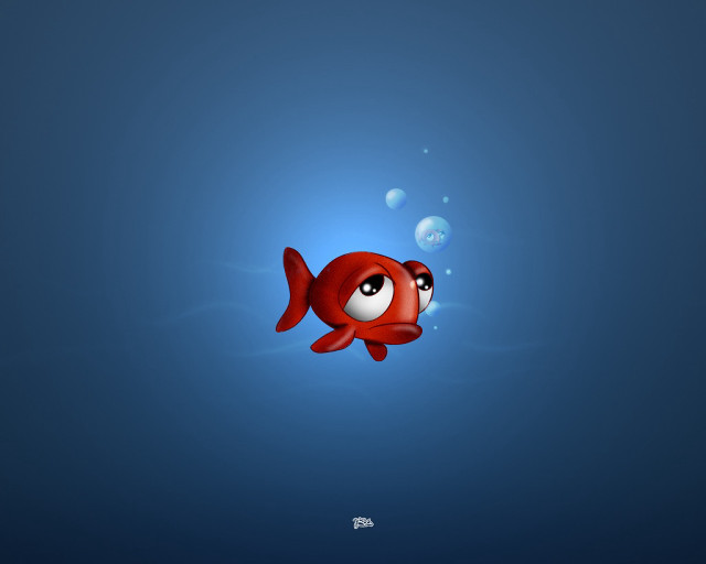 Red fish big eyes swimming #2 free wallpaper for desktop - medium preview image