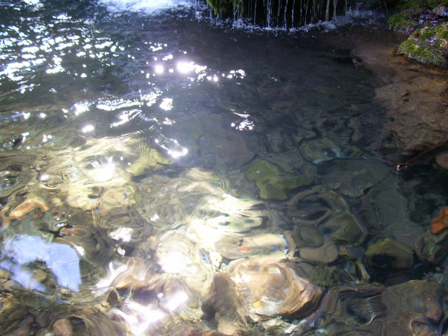 Stream water rocks plants sun free wallpaper for desktop - medium preview image