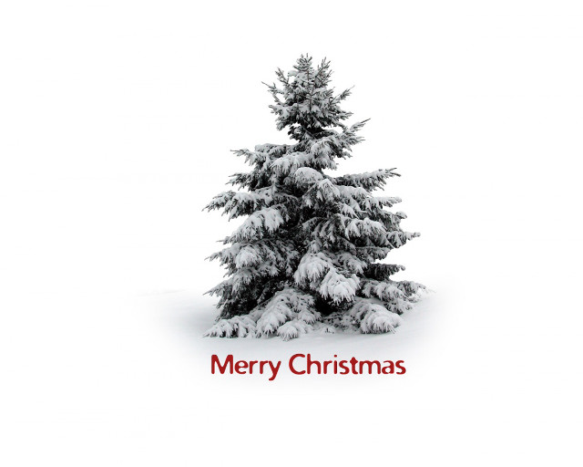 Christmas tree red ribbon merry #2 free wallpaper for desktop - medium preview image