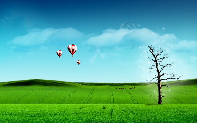 Tree field hot air balloons free wallpaper for desktop - medium preview image