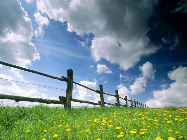 Field fence flowers grass cloudy #2 free wallpaper for desktop - medium preview image