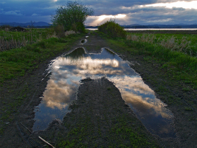 Road puddles cloudy sky background #2 free wallpaper for desktop - medium preview image