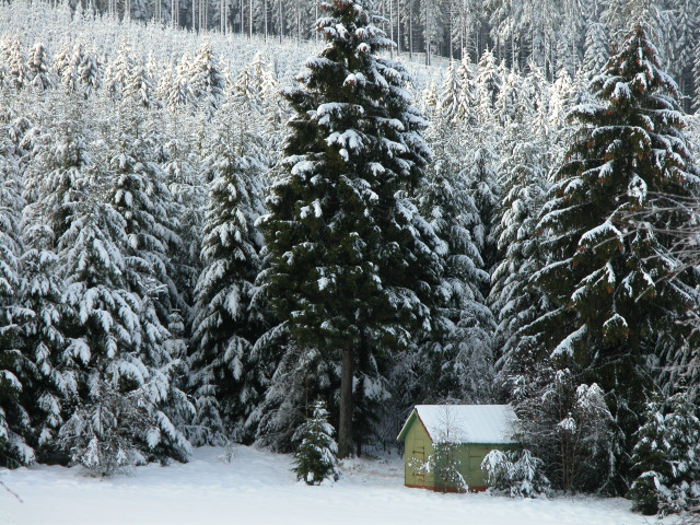 Small cabin snowy forest matte free wallpaper for desktop - medium preview image