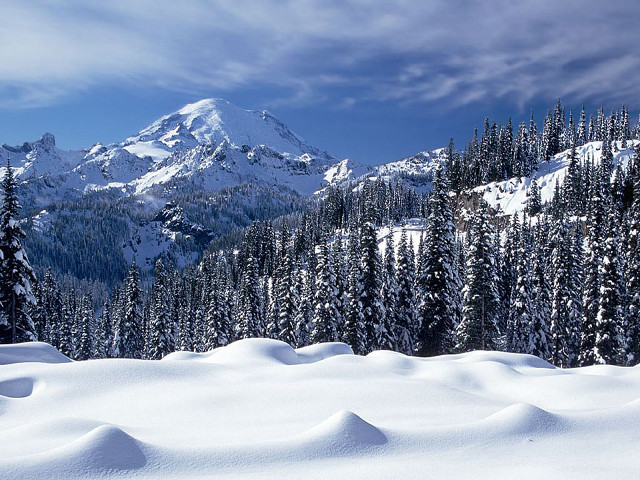 Snow covered mountain trees sky #2 free wallpaper for desktop - medium preview image