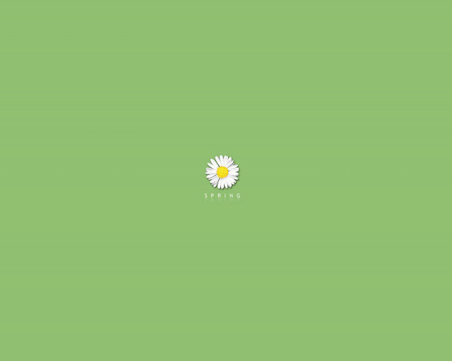Single flower green background white free wallpaper for desktop - medium preview image