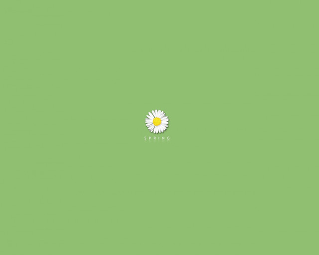 White flower green background yellow #2 free wallpaper for desktop - medium preview image