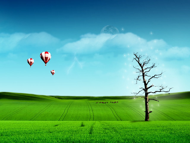 Tree field hot air balloons #2 free wallpaper for desktop - medium preview image