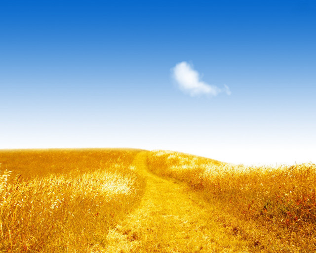 Path tall grass cloud blue free wallpaper for desktop - medium preview image