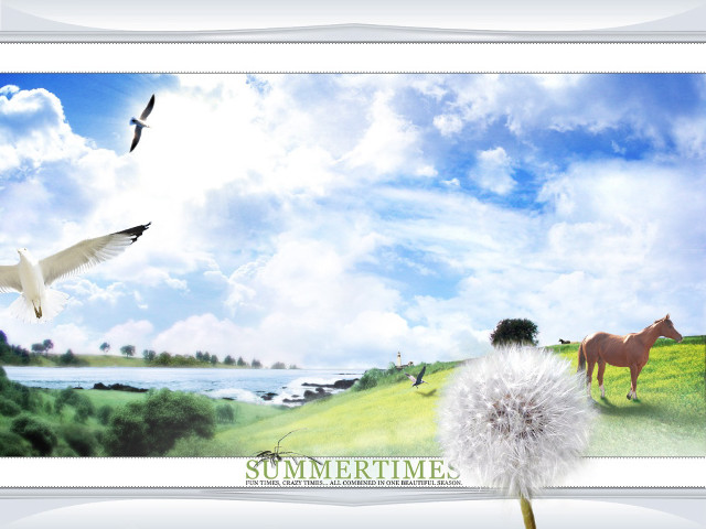 Horse bird flying field dandelion #3 free wallpaper for desktop - medium preview image
