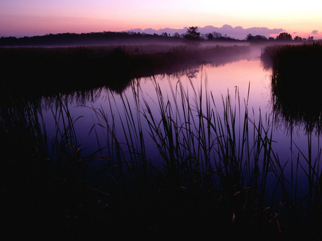 Lake reeds sunset clouds water #2 free wallpaper for desktop - medium preview image