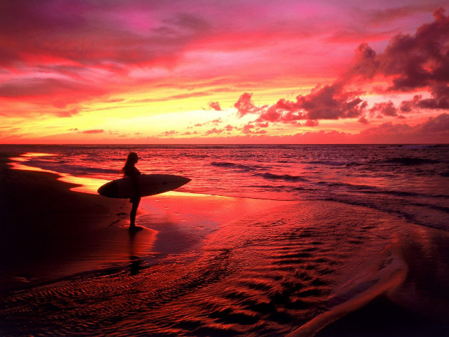 Person holding surfboard beach sunset free wallpaper for desktop - medium preview image