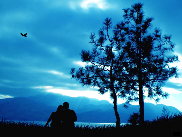 Couple sitting under tree evening free wallpaper for desktop - medium preview image
