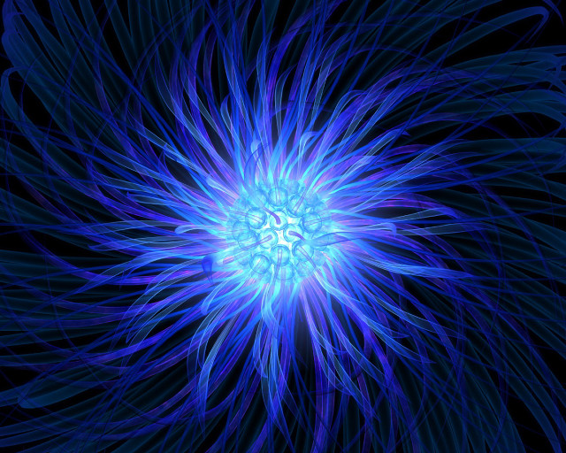 Blue flower black background bioluminescence free wallpaper for desktop - medium preview image