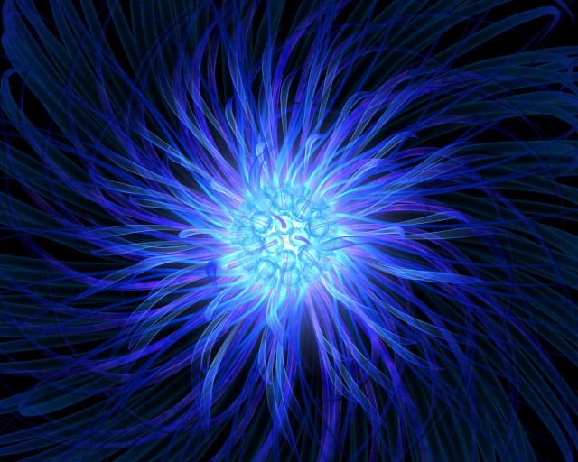 Blue flower black background bioluminescence #3 free wallpaper for desktop - medium preview image