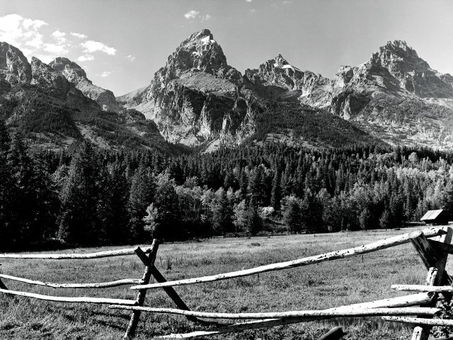 Wooden fence mountains trees blackwhite free wallpaper for desktop - medium preview image