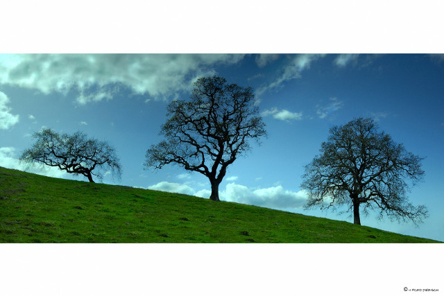 Three trees hill blue sky #2 free wallpaper for desktop - medium preview image