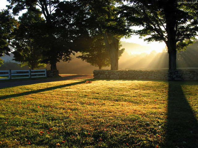Field stone wall trees sunshine #2 free wallpaper for desktop - medium preview image