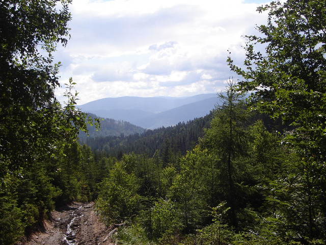 Dirt road trees mountains sky #3 free wallpaper for desktop - medium preview image