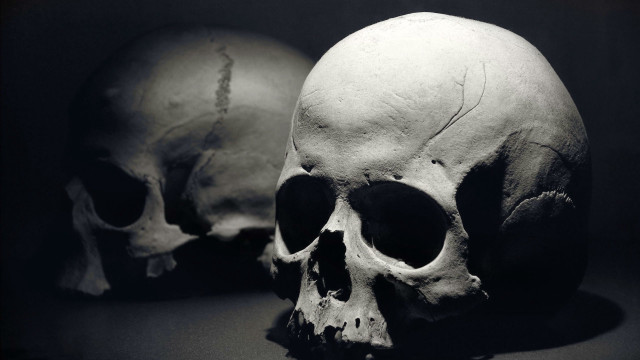 Two skulls black white image free wallpaper for desktop - medium preview image